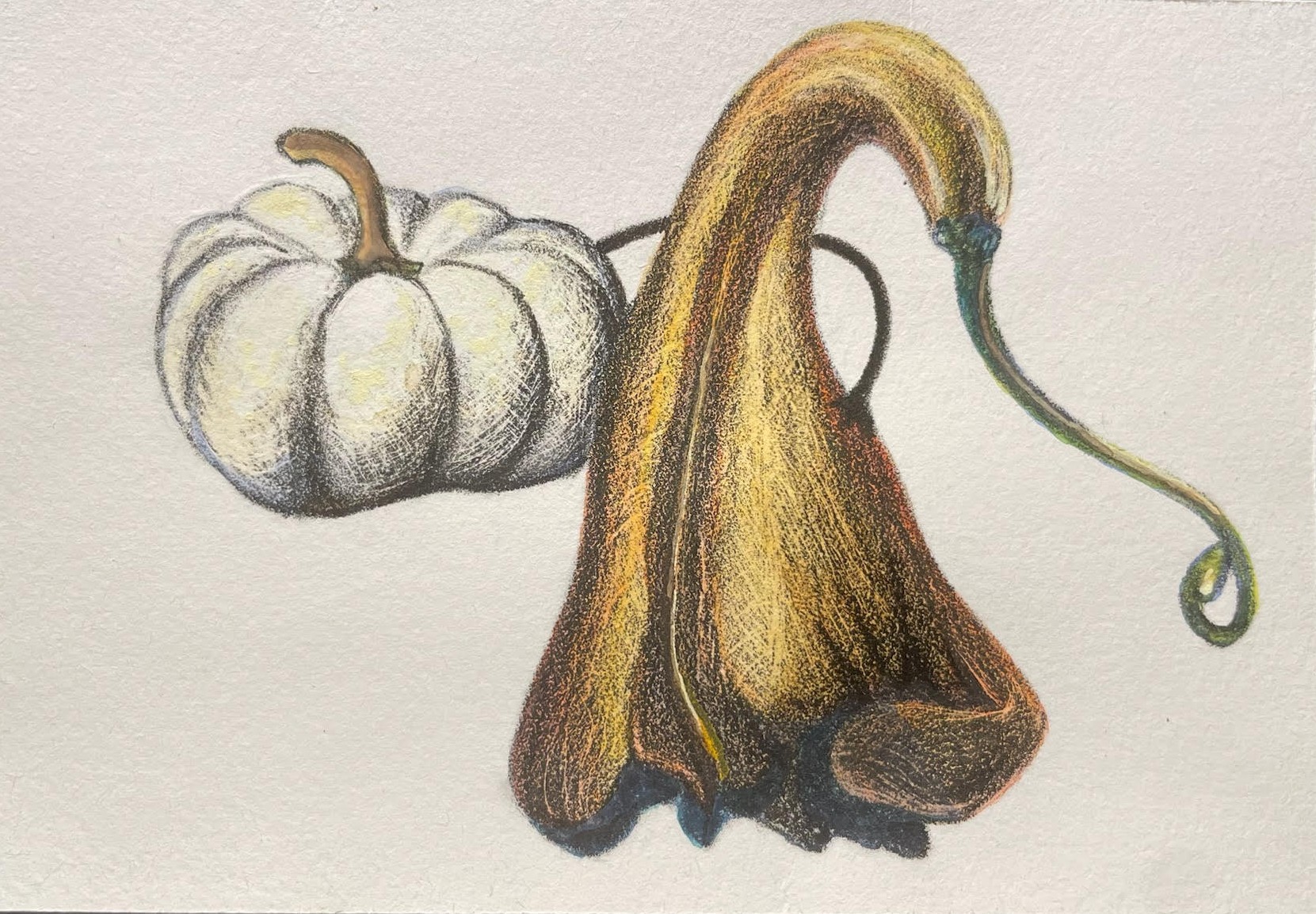 a Gourdable
